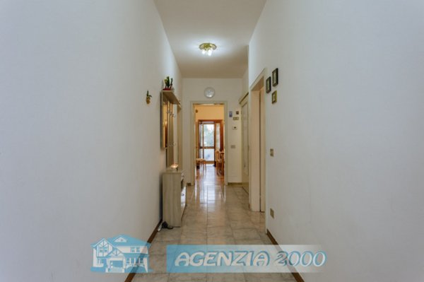 casa indipendente in vendita a Conselve