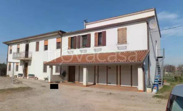 appartamento in vendita a Conselve