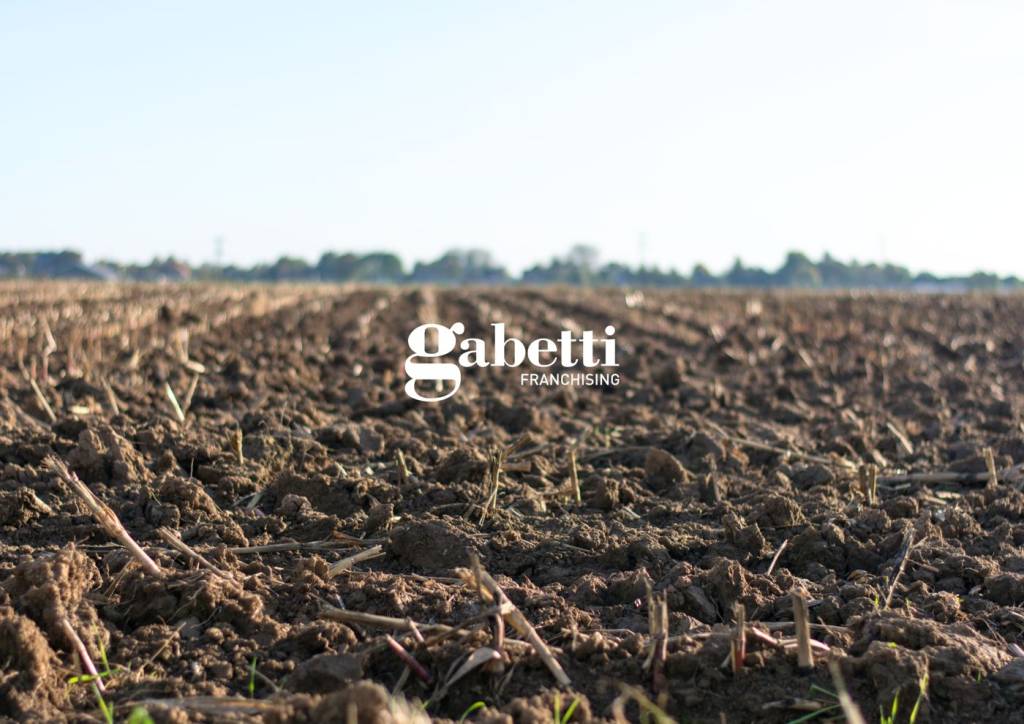 ufficio in vendita a Conselve