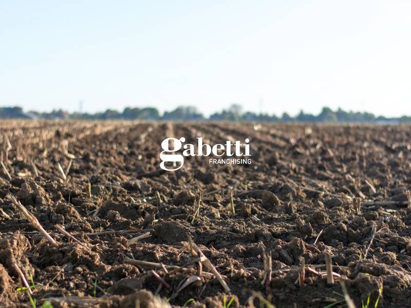 ufficio in vendita a Conselve