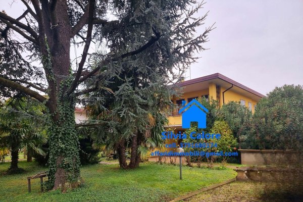 casa indipendente in vendita a Conselve