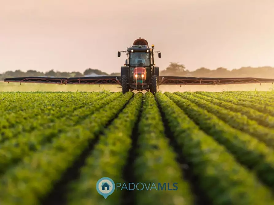 mansarda in vendita a Conselve