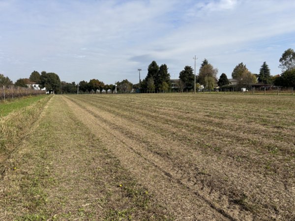 terreno agricolo in vendita a Conselve