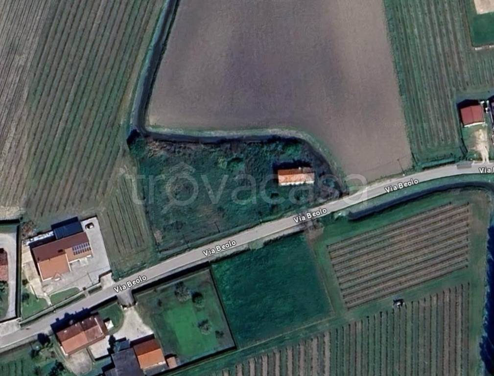 terreno agricolo in vendita a Conselve