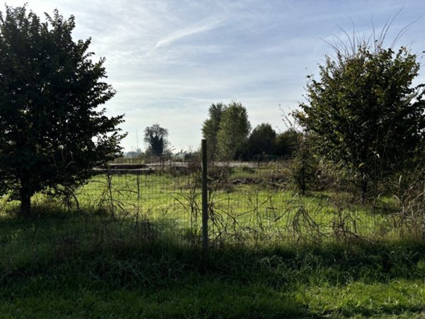 terreno edificabile in vendita a Conselve