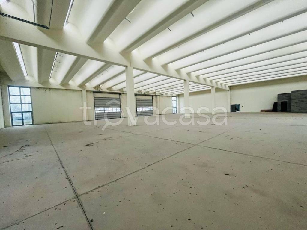 terreno edificabile in vendita a Conselve