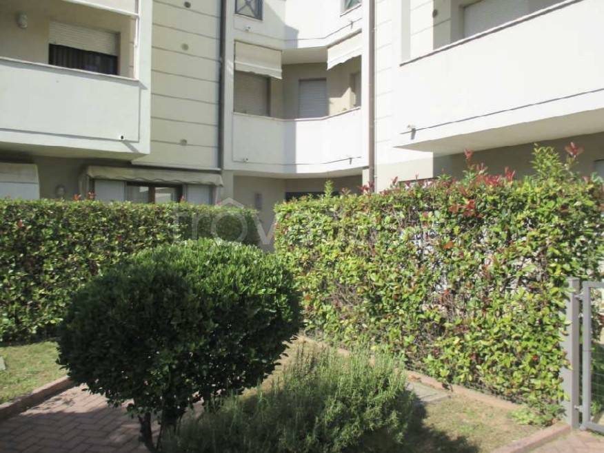 appartamento in vendita a Conselve