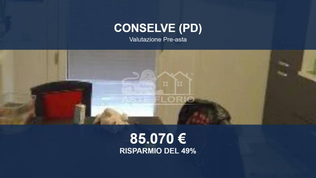 appartamento in vendita a Conselve