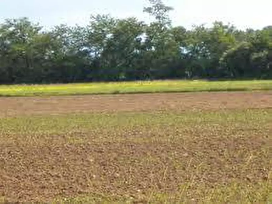 terreno agricolo in vendita a Conselve