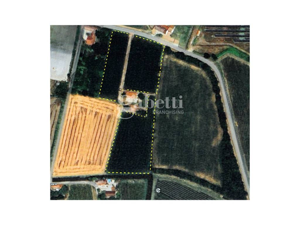 terreno agricolo in vendita a Conselve in zona Palù