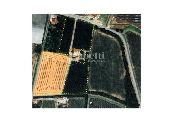 terreno agricolo in vendita a Conselve in zona Palù