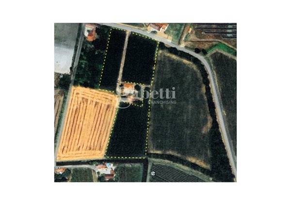 terreno agricolo in vendita a Conselve in zona Palù