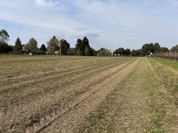 terreno agricolo in vendita a Conselve in zona Palù