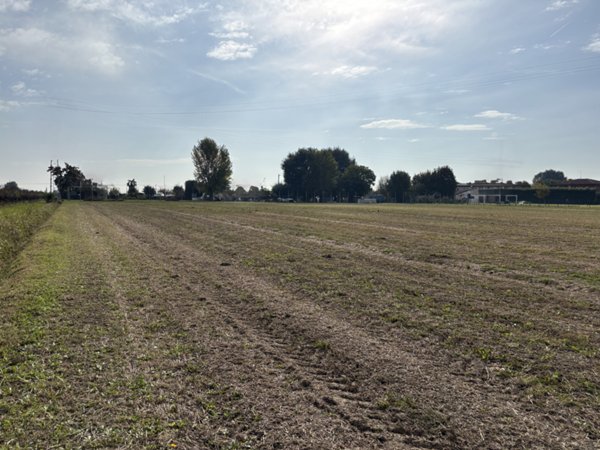 terreno in vendita a Conselve in zona Palù