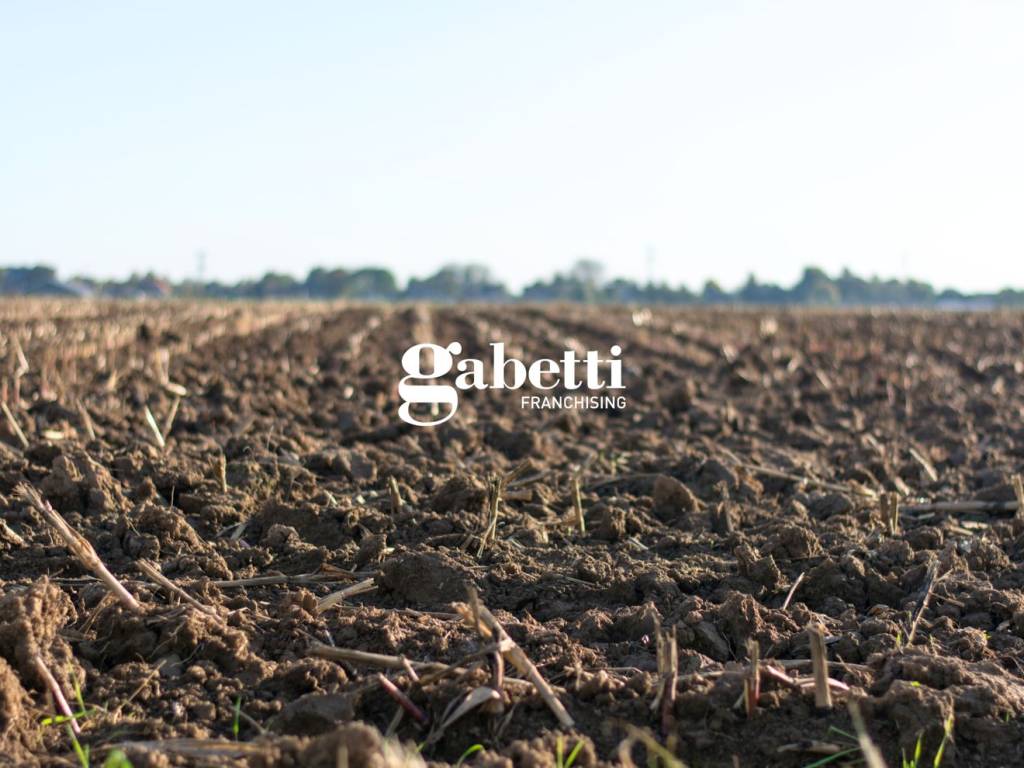 terreno in vendita a Conselve in zona Palù