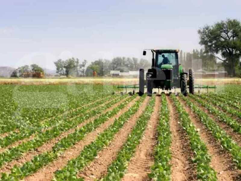 terreno agricolo in vendita a Correzzola in zona Cive'
