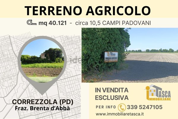 terreno agricolo in vendita a Correzzola