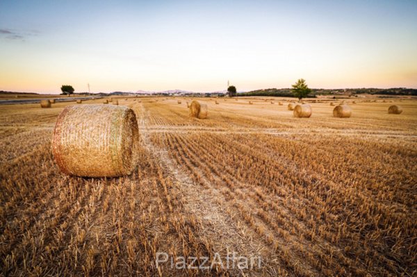 terreno agricolo in vendita a Correzzola in zona Villa del Bosco