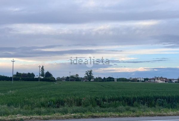 terreno agricolo in vendita a Correzzola