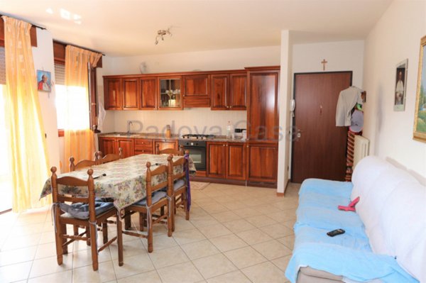 appartamento in vendita a Curtarolo in zona Santa Maria di Non