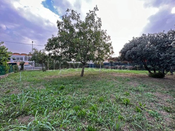 terreno edificabile in vendita a Curtarolo in zona Pieve di Curtarolo