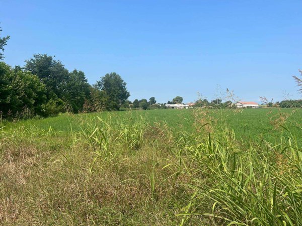 casa indipendente in vendita a Curtarolo