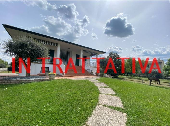 immagine annuncio 0 di 15