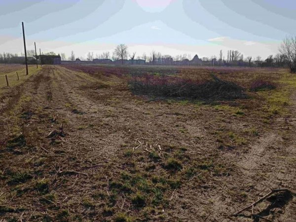 terreno agricolo in vendita a Curtarolo