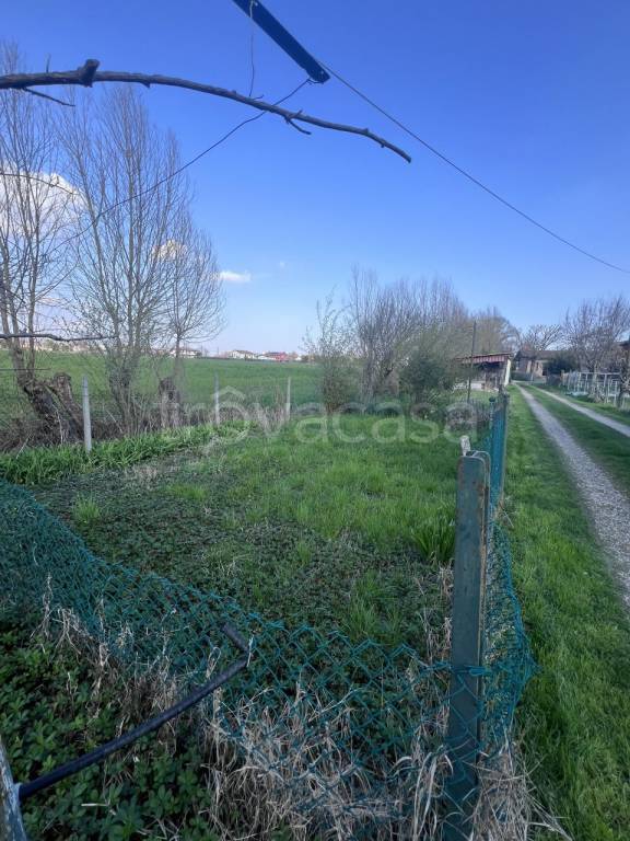 terreno agricolo in vendita a Curtarolo
