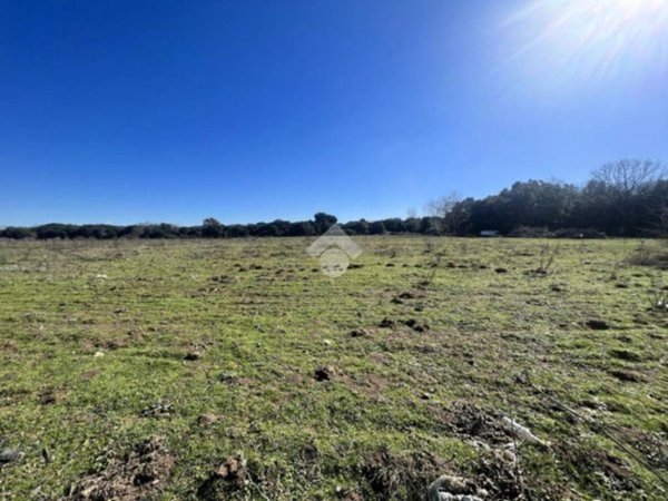 terreno edificabile in vendita a Curtarolo