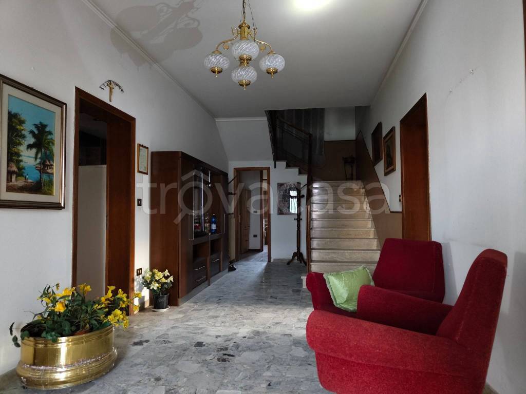 immagine annuncio 0 di 15