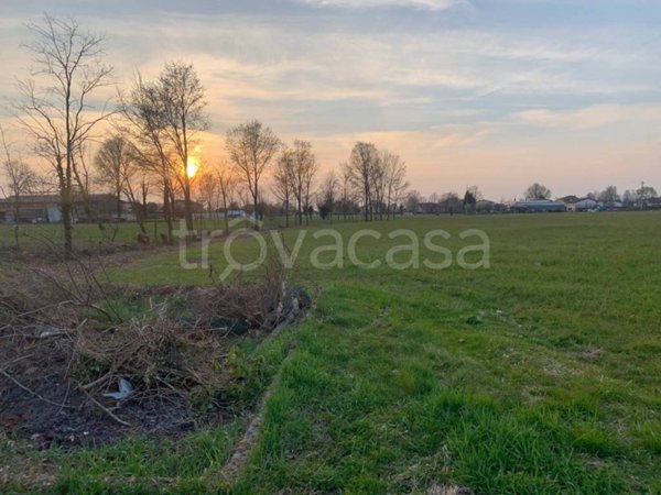 casa indipendente in vendita a Curtarolo in zona Santa Maria di Non