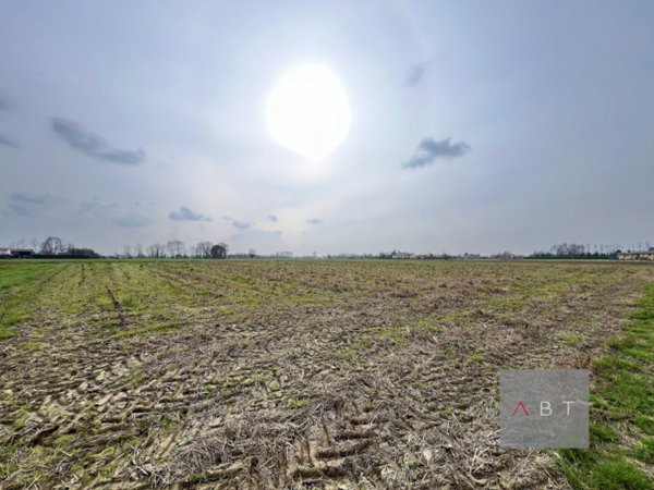 terreno agricolo in vendita a Curtarolo