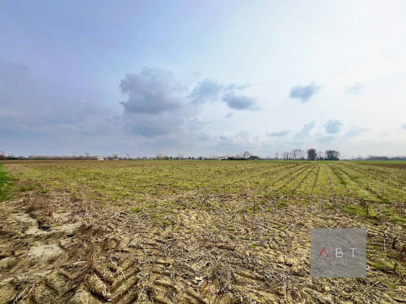 terreno agricolo in vendita a Curtarolo