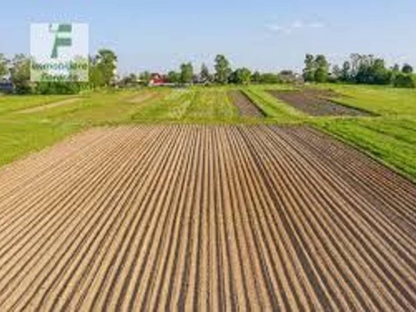 terreno edificabile in vendita a Curtarolo