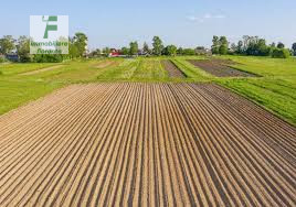 terreno edificabile in vendita a Curtarolo