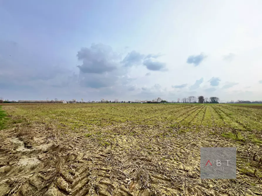 mansarda in vendita a Curtarolo in zona Santa Maria di Non