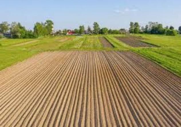 terreno edificabile in vendita a Curtarolo