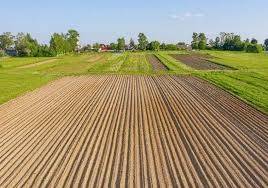 terreno edificabile in vendita a Curtarolo in zona Santa Maria di Non