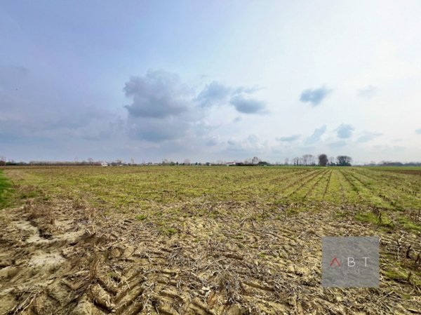 terreno in vendita a Curtarolo in zona Santa Maria di Non