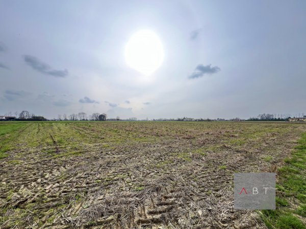 terreno in vendita a Curtarolo in zona Santa Maria di Non