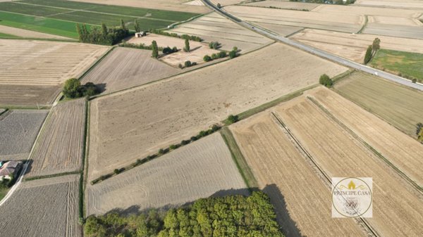 terreno agricolo in vendita ad Este