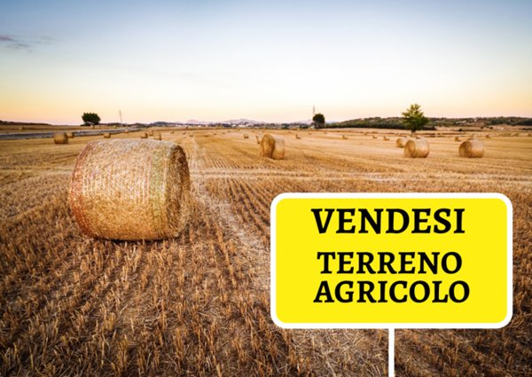 terreno agricolo in vendita ad Este