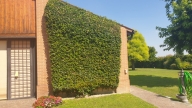 casa indipendente in vendita ad Este
