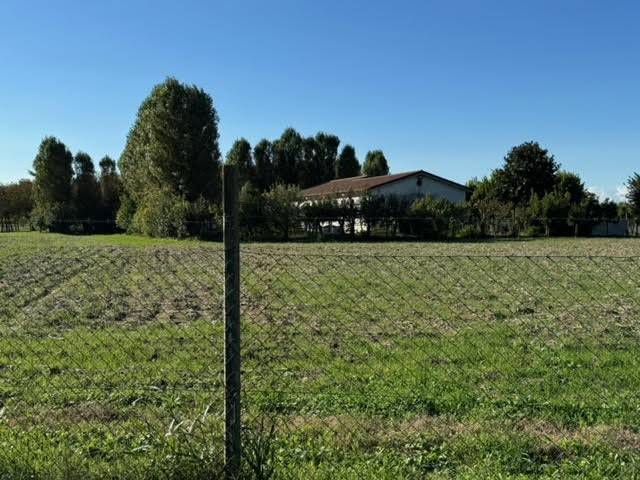terreno agricolo in vendita ad Este