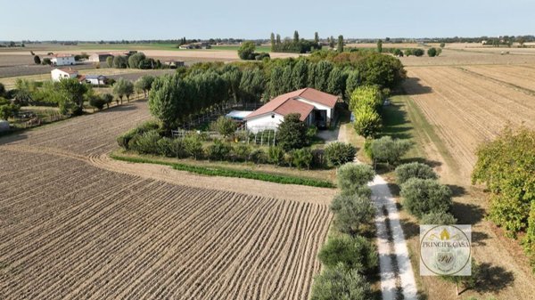 terreno agricolo in vendita ad Este