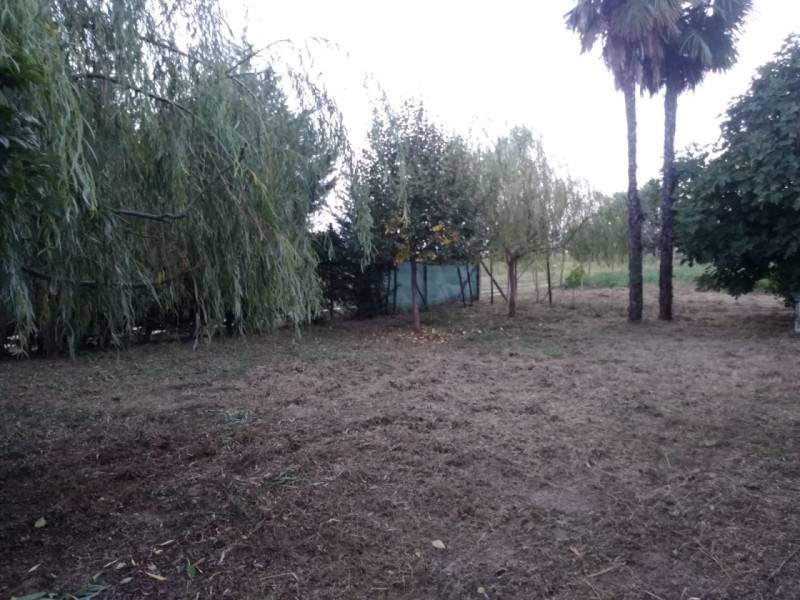casa semindipendente in vendita ad Este