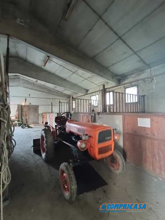 terreno agricolo in vendita ad Este