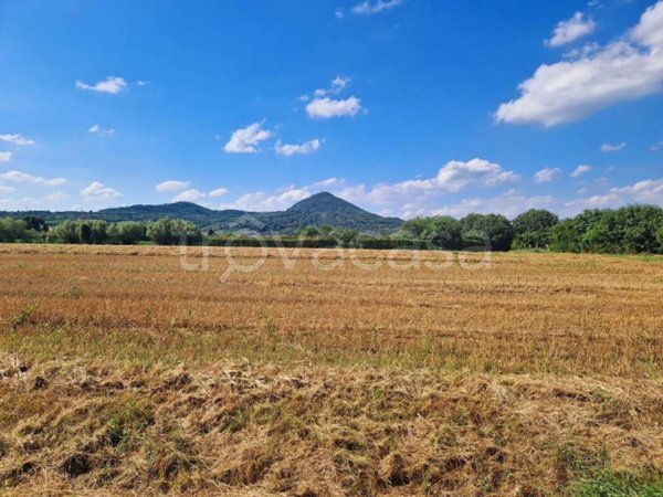 terreno edificabile in vendita ad Este