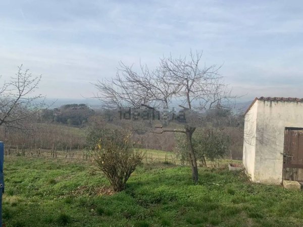 casa indipendente in vendita ad Este